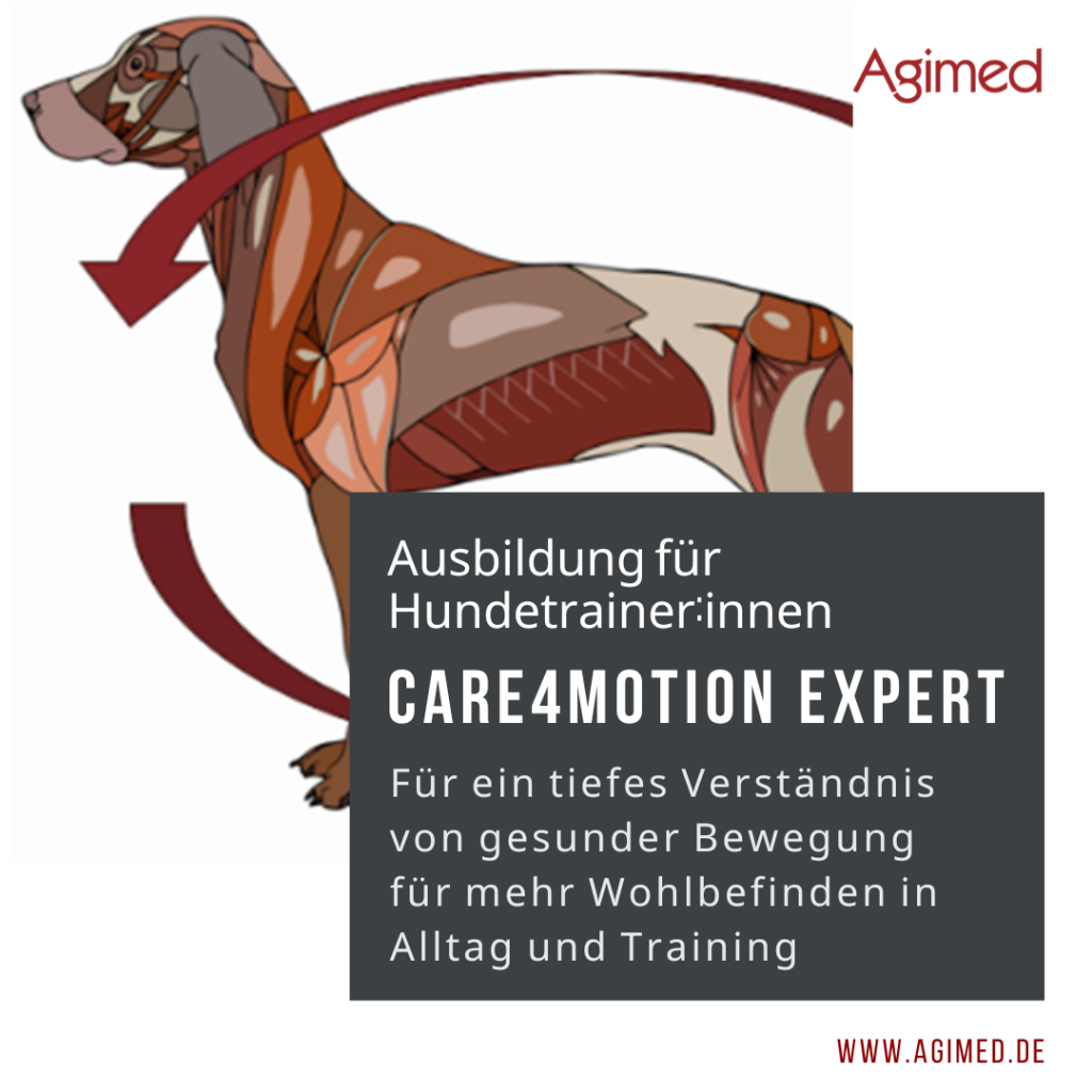 care4motion expert