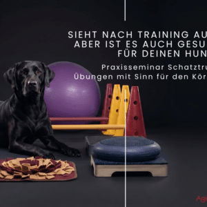 care4motion praxisschatztruhe